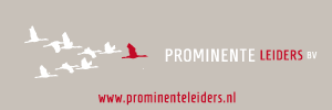 promi-banner